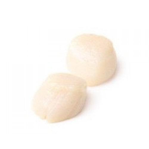 Hokkaido Scallop (Frozen)