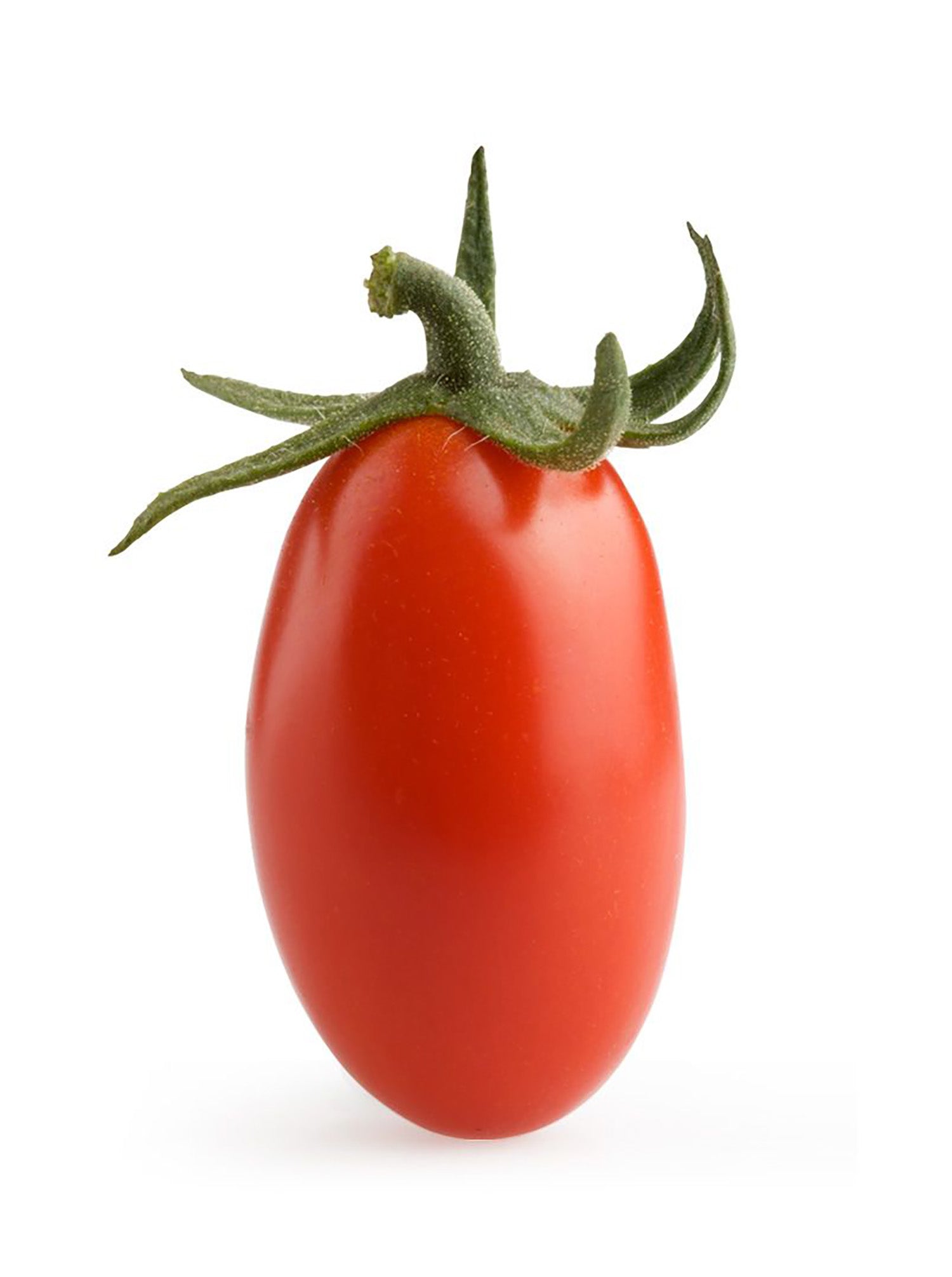 Red Datterino Tomato